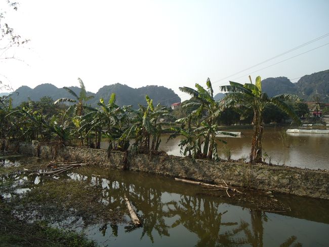 Ninh Binh - Cycling Tour through the Rice Fields