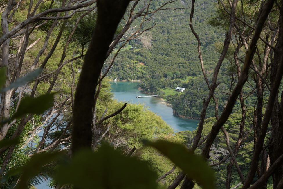 Queen Charlotte Track: Schoolhouse Bay