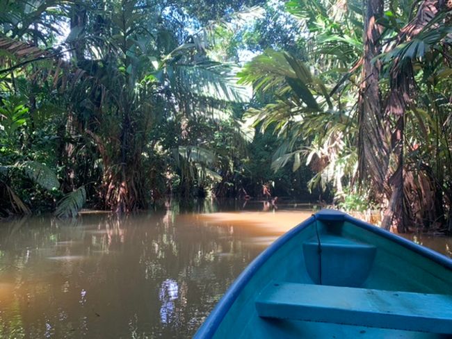 Visit to Matias, the journey to Tortuguero, and the conclusion in San Jose