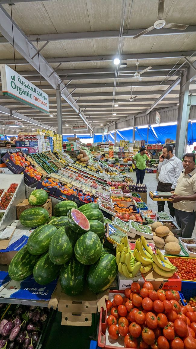 Day 12 (2023) Abu Dhabi: Mangrove Walk, Saadiyat, Meena Fish & Vegetable Market