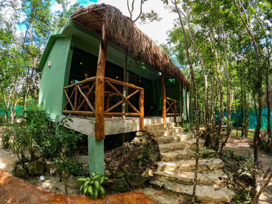 Tag 285 - Accommodation change to Jungle Hut @ Cozumel