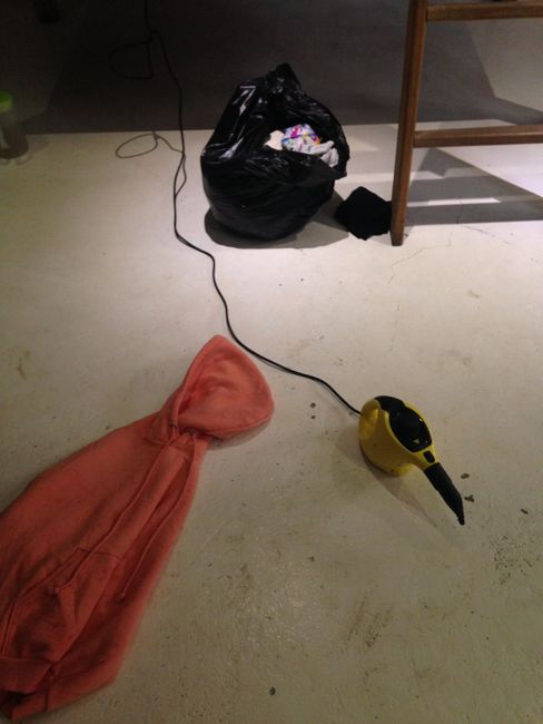 Using a steam cleaner against bed bugs