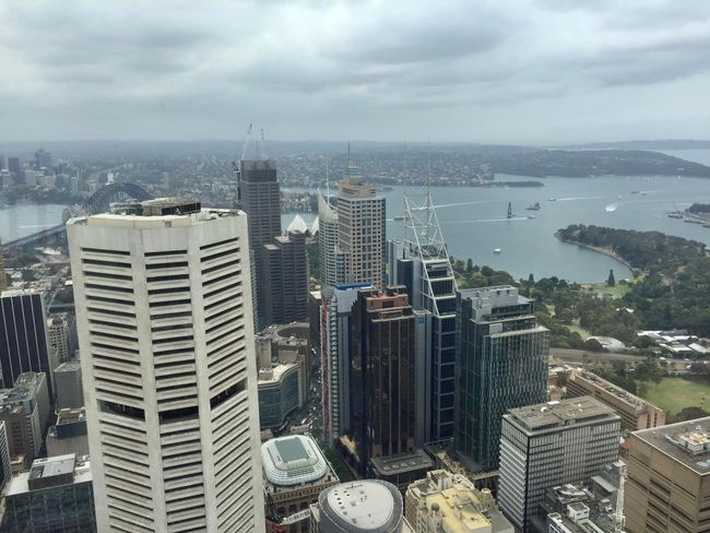 Ausblick vom Sidney Tower