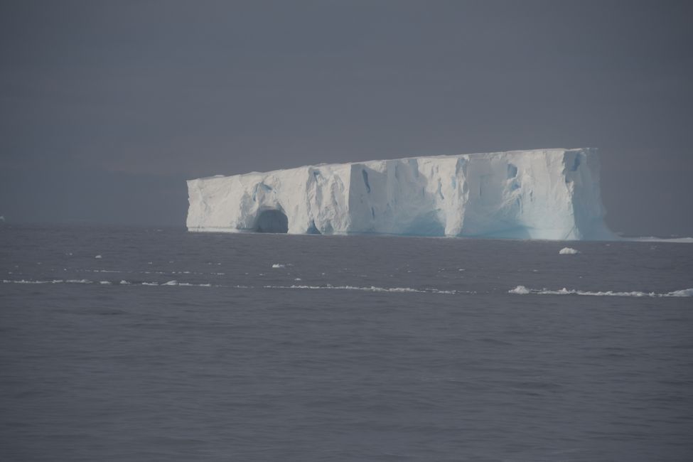 Iceberg