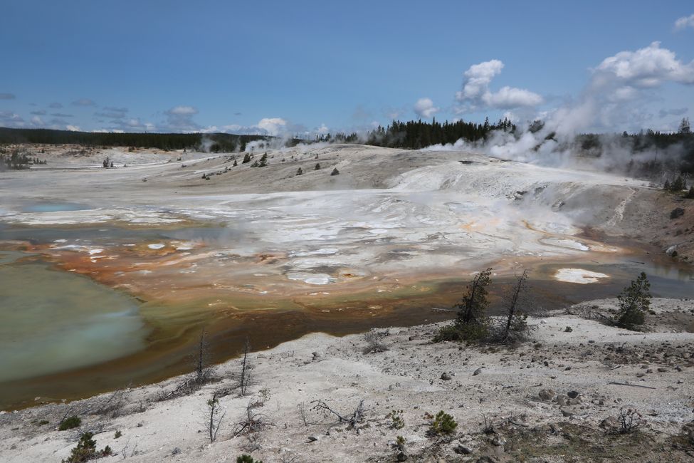 Welcome to the hotplate of the earth - Yellowstone NP
