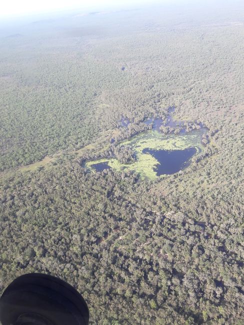 Sightseeing flight over Kakadu National Park & Arnhem Land