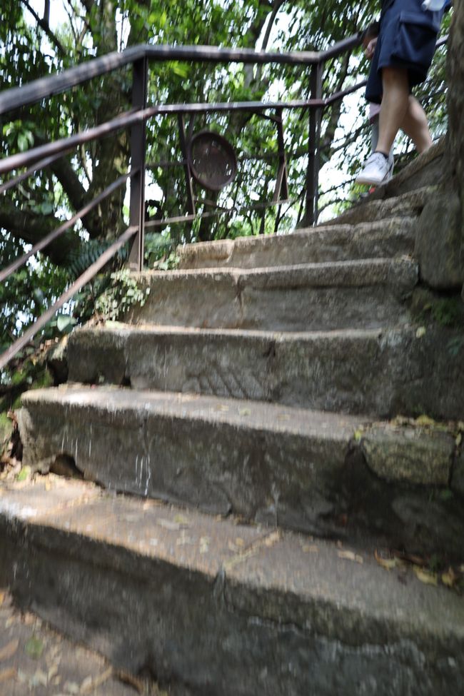 1 000 000 Adım？- Fil Dağı Yolunda Yürüyüş - Nöbetçi Değişimi ile Çan Kay-şek Anıtı - Konfüçyüs Tapınağı