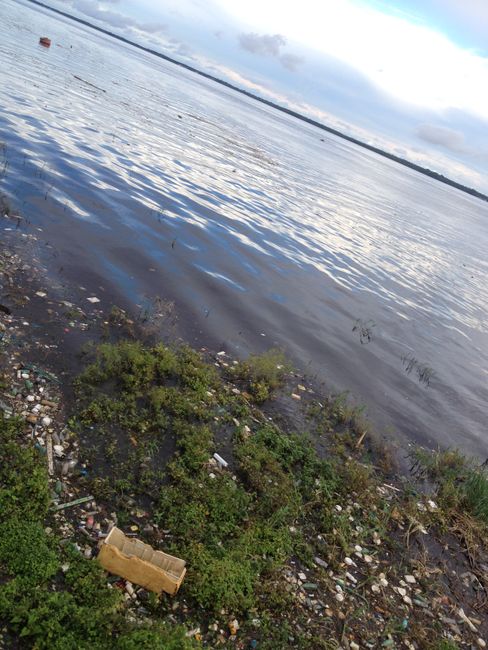 Brasilien: Manaus