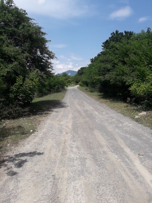 small road on the east bank of the Aragvi