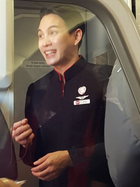 Handsome flight attendant 