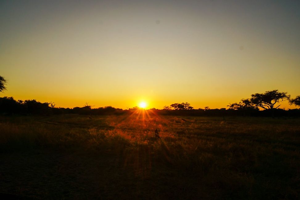 Sonnenuntergänge über dem Okavango Delta