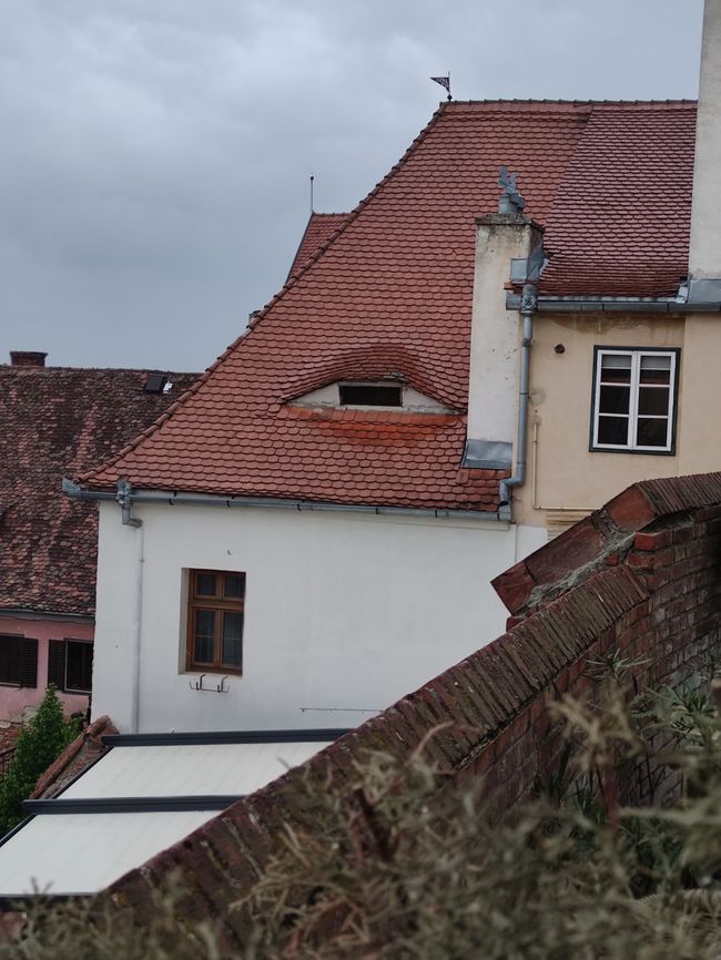 Über den Dächern von Hermannstadt 