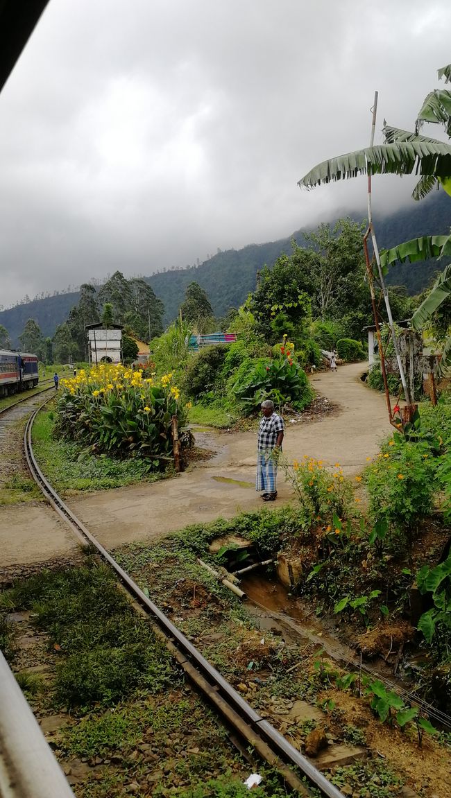 By train from Kandy to Ella
