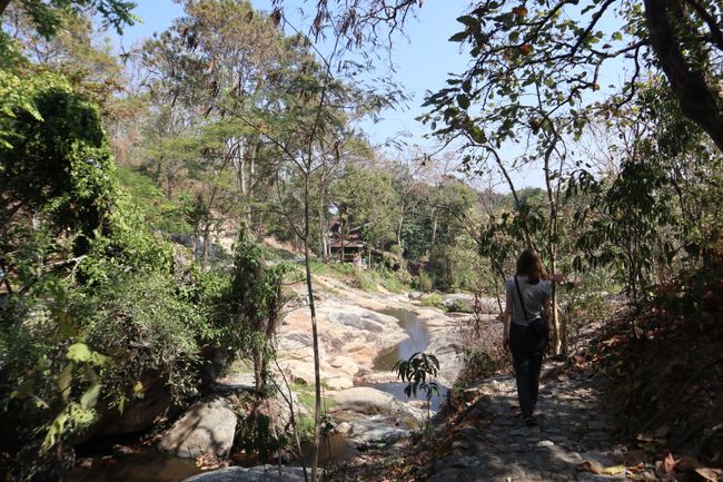 The outskirts of the Huay Kaew Waterfall.