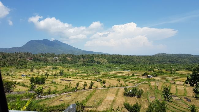Indonesia: Soaking up the sun in Bali