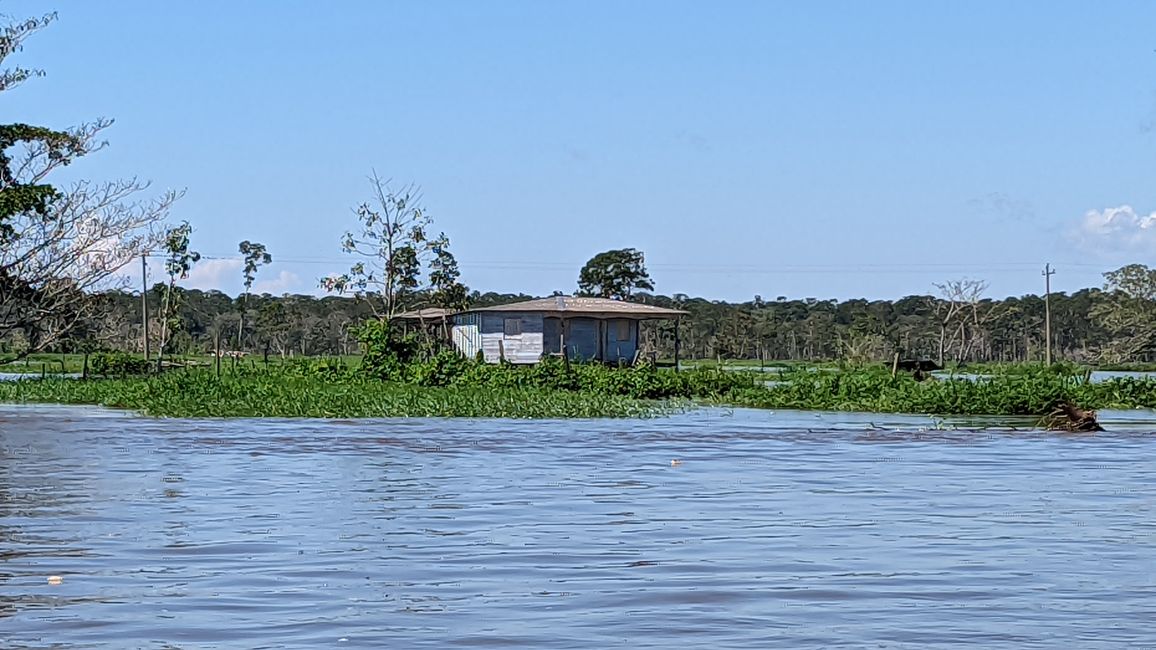 1. Tag Amazonas Dschungel