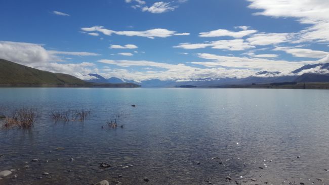 Lake Pukaki mit Mt Cook im Hintergrund