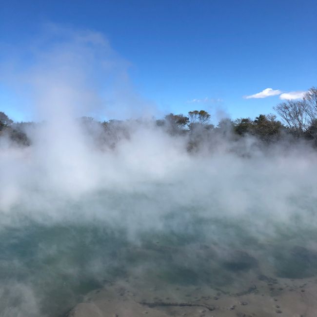 Day 15: Rotorua - Tauranga