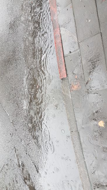 Wet, wetter, Seattle