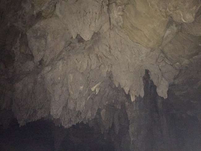 Tag 53 - Waipu Cave