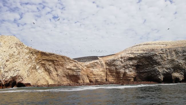 This is where large colonies of cormorants, pelicans, penguins, and seals are located.
