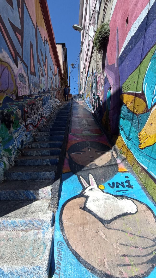 Treppen 2/3 in Valparaiso