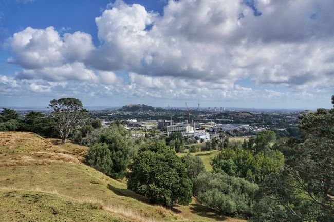 Sicht vom One Tree Hill über Auckland