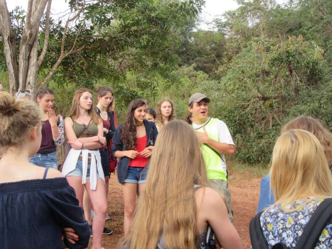 Brasilien Tag 12 - Ausflug zur "Gruta do Salitre"
