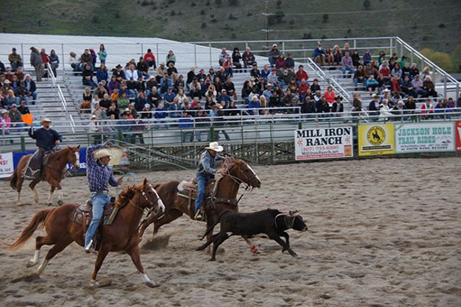 Jackson Hole Rodeo and a trip to Idaho