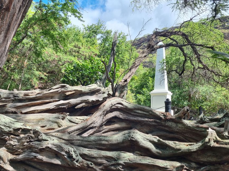 Hawaii 2022 - Teil 1: Big Island