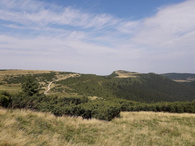 the ridge trail