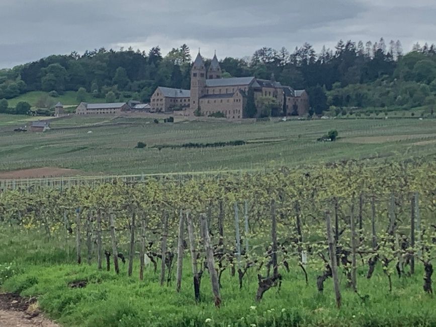 Vineyards and the St. Hildegardis Monastery in Bingen