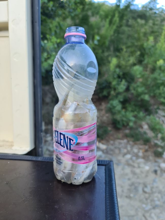 Praktisch In einer PET-Flasche gepresst qurde uns der Fisch am Osum-Canyon überreicht.