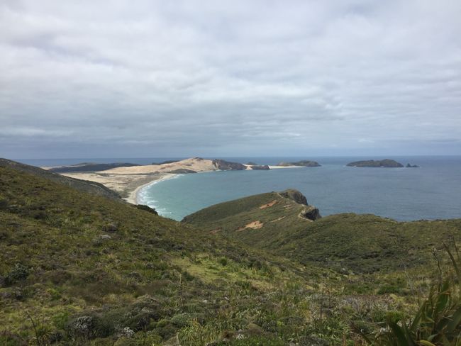 Kepi Reinga - pika më veriore e Zelandës së Re