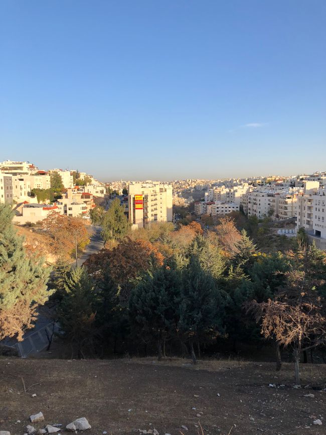 View of the street where I live