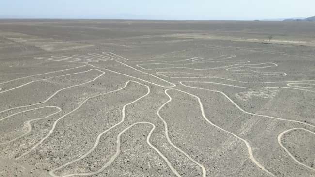 On 07.08.: Nazca - 600 m & the phenomenon of the Nazca Lines