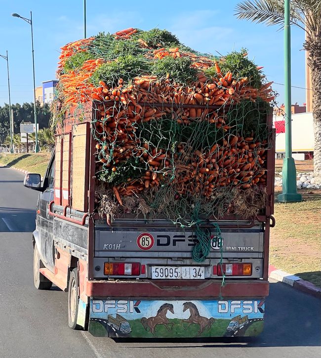 A truck full of carrots. (Photo: Birgit)