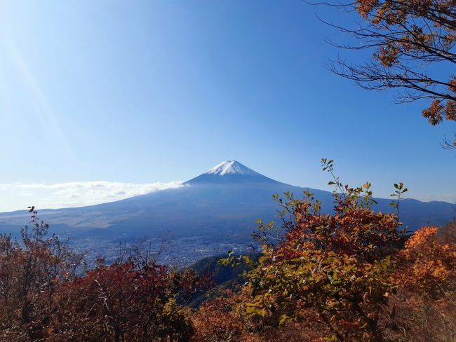 Fuji #17