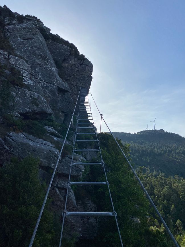 Elevation ladder