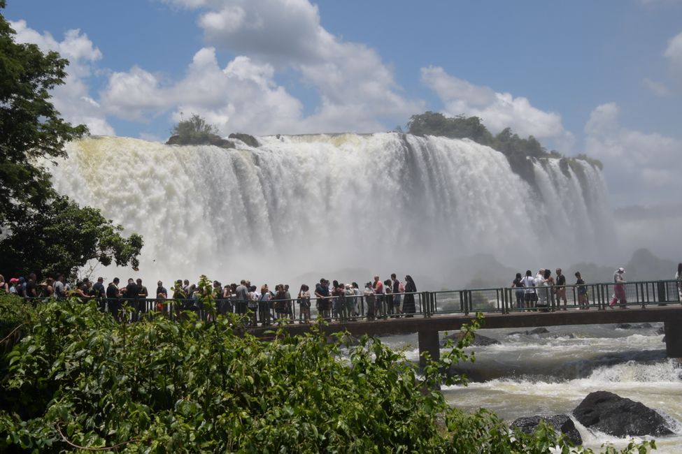 The Brazilian Falls