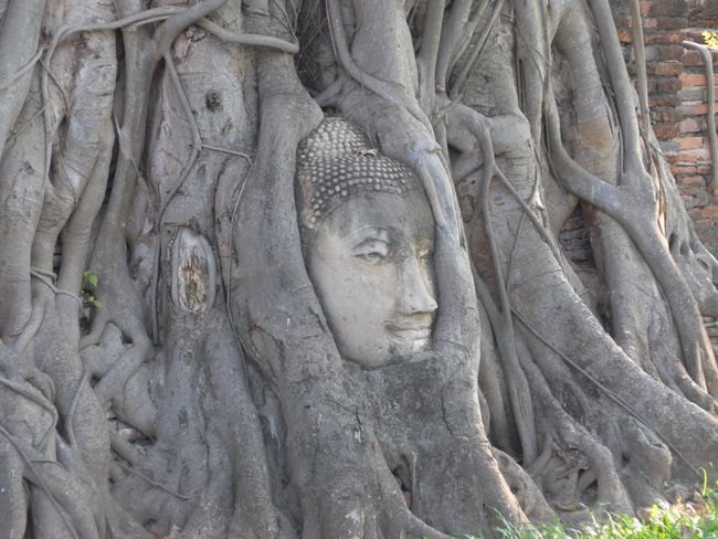 Ayutthaya (Thailand Teil 5)