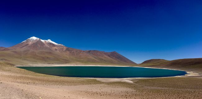 Lagune Miñique, San Pedro de Atacama