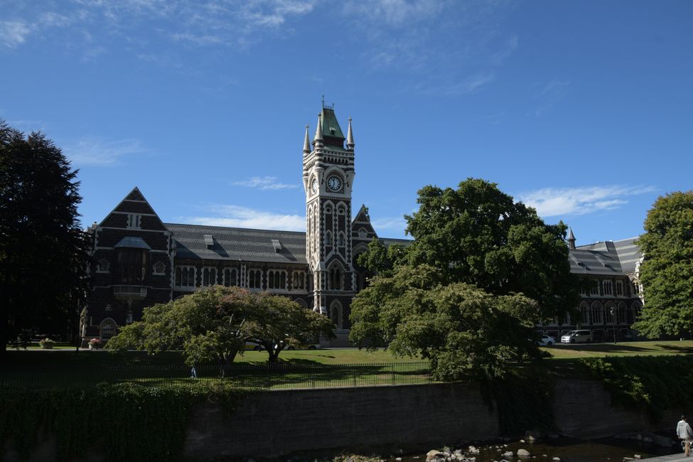 Dunedin - University