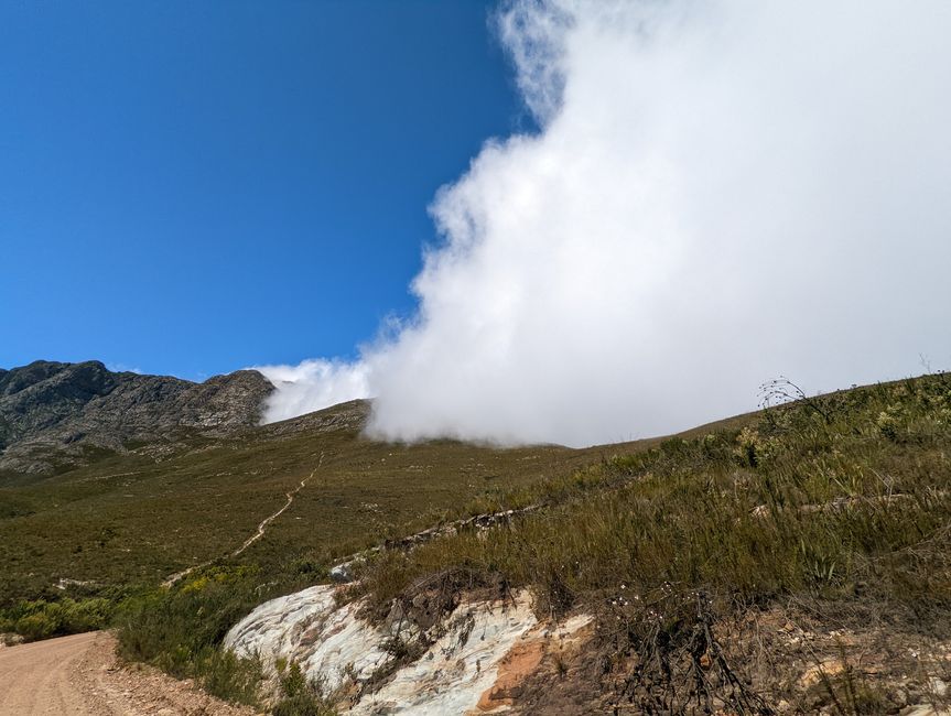 Knysna, Mossel Bay, Oudtshoorn