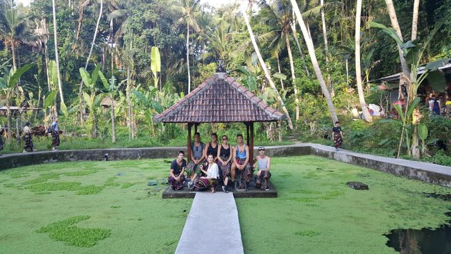 Tag 5 - Bali Ubud