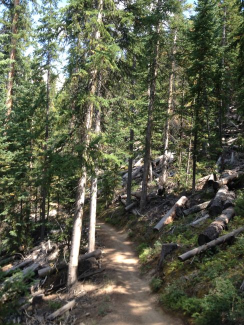 Randonnée Ouest : Colorado Trail