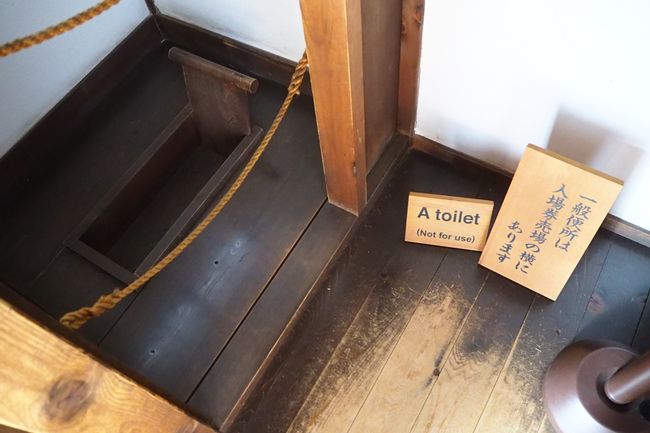 A toilet (not for use) 