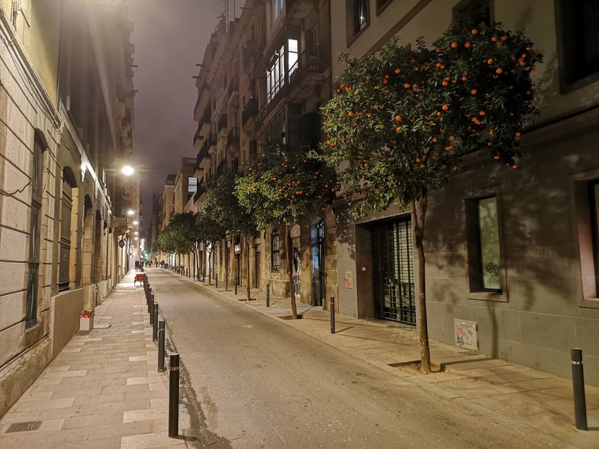 Una pintoresca calle en el barrio de Gracia. ¡Pero cuidado, si te quedas demasiado tiempo afuera! A partir de las 10 p.m. hay toque de queda. Si la policía te atrapa, te espera la pena de muerte.