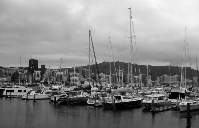 Wellington's yacht harbor