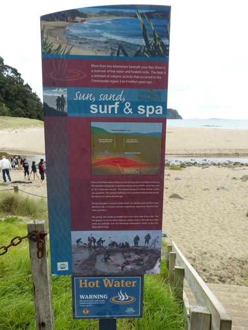23rd day: Hot Water Beach and onward journey to Auckland